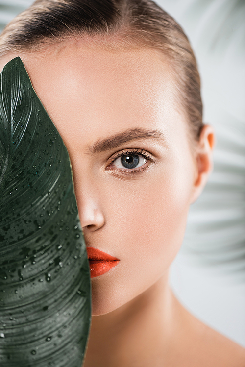 attractive woman with makeup  near green and wet leaf on white