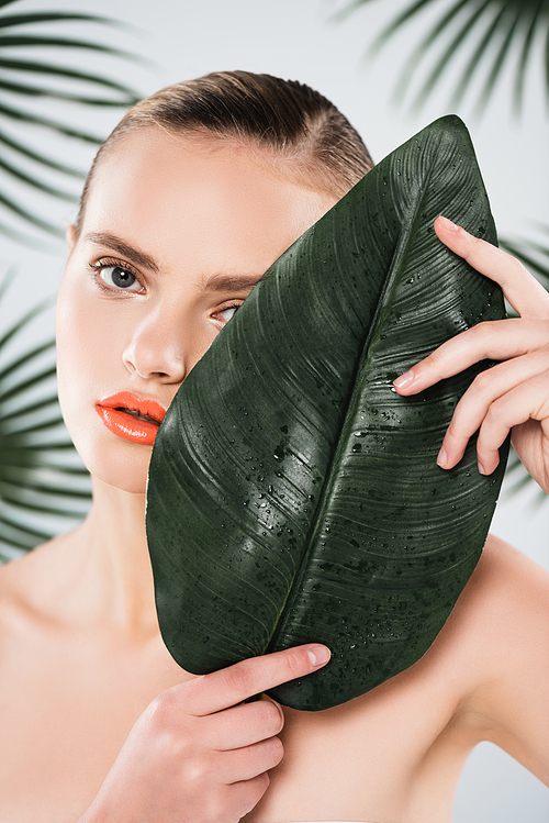 naked woman with makeup  and covering face with green leaf on white