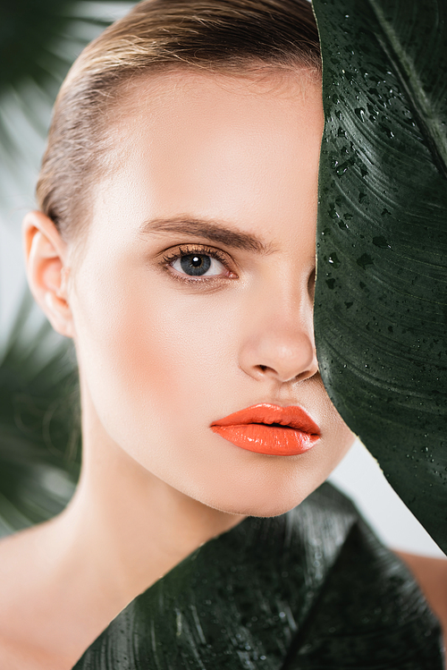 beautiful girl with makeup  near green and wet leaf on white
