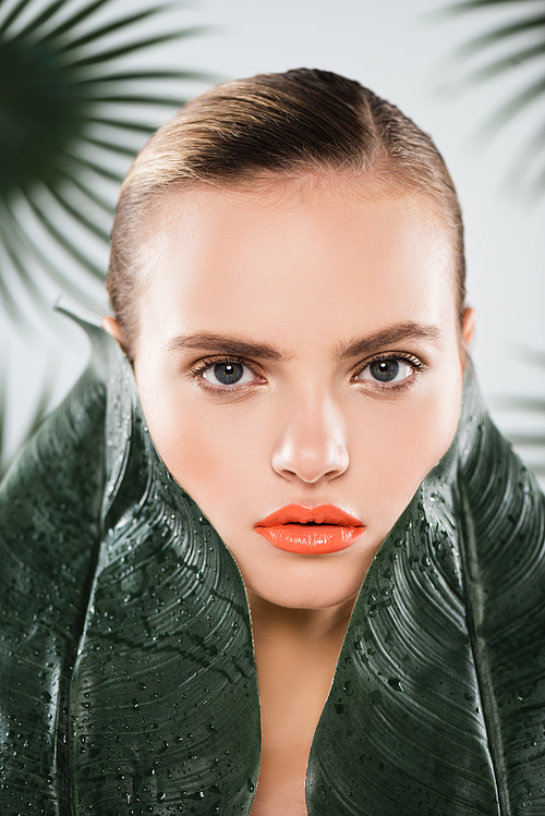 beautiful girl with makeup  near green and wet leaves on white