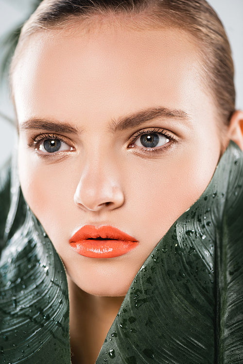 close up of beautiful girl with makeup near green and wet leaves