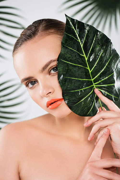 beautiful and naked girl with makeup holding green and wet leaf on white