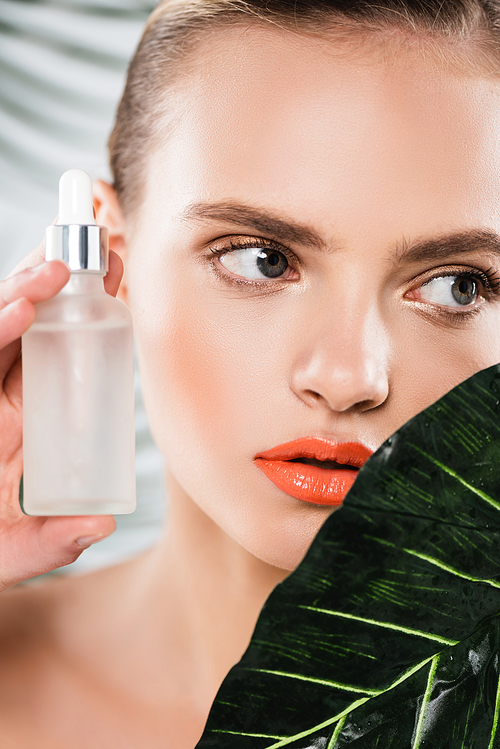 close up of attractive woman holding bottle with serum near green leaf