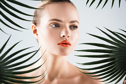 attractive and naked woman near green palm leaves on white