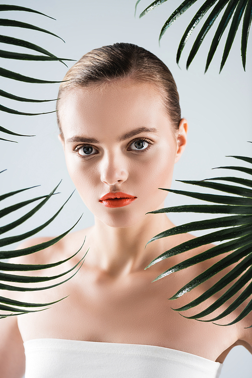 attractive woman with makeup  near palm leaves on white