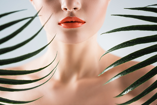 cropped view of woman with orange lipstick near palm leaves on white