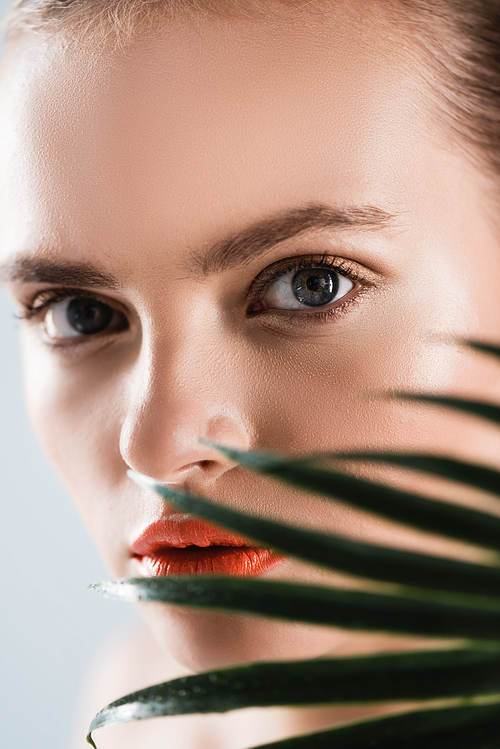 selective focus of attractive woman with makeup  near palm leaf