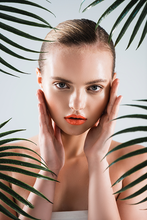 attractive woman  while touching face near palm leaves on white