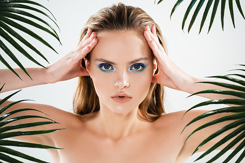 beautiful woman with blue eye shadow  and touching face near palm leaves on white