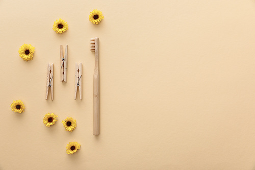 top view of wooden clothespins and toothbrush on beige background with flowers