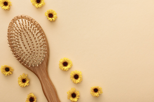 top view of hairbrush on beige background with flowers and copy space