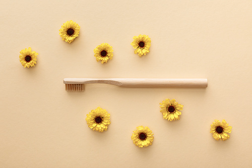 top view of toothbrush on beige background with flowers