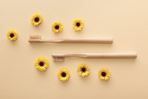 top view of toothbrushes on beige background with flowers