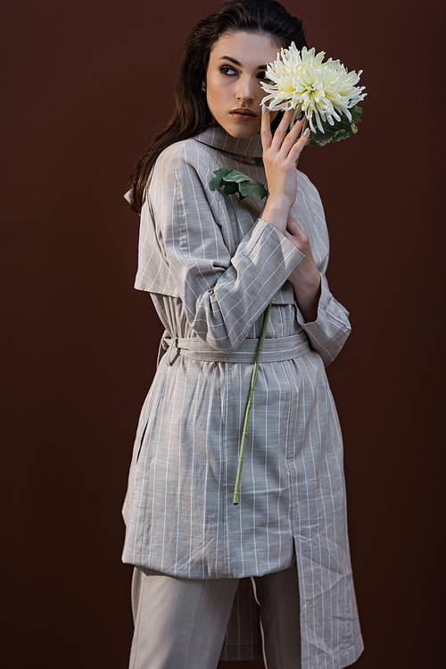 beautiful model holding chrysanthemum in hands, looking away, standing on brown background