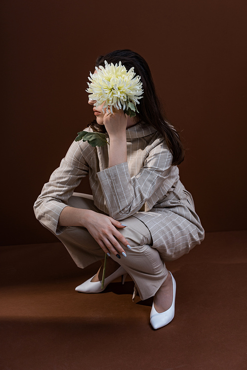 beautiful and stylish model holding chrysanthemum near face, sitting on brown background