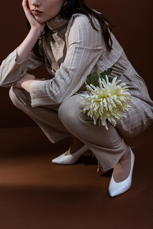 cropped view of fashionable model holding chrysanthemum in hands, sitting on brown background