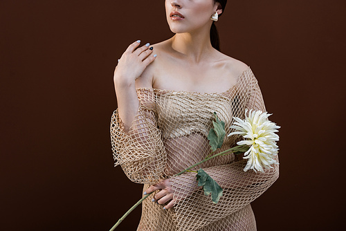 cropped view of stylish woman with flower in hands standing inside studio with brown background