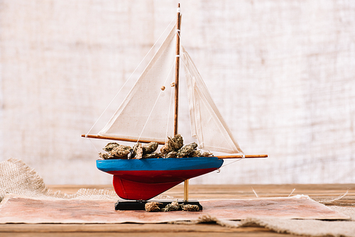 decorative ship with dry plant lumps on wooden surface