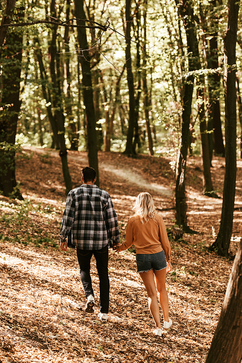 back view of young couple holding hands while walking in park