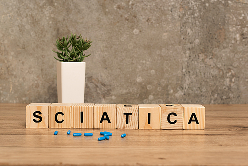 Pills and blocks with sciatica lettering near plant on wooden table on grey background