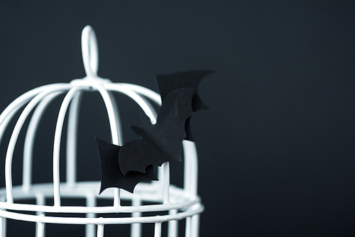 selective focus of origami bat near metallic cage isolated on black