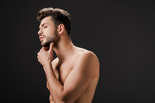 handsome sexy naked man touching beard isolated on black