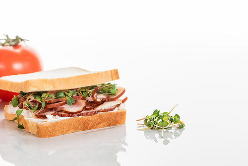 selective focus of fresh delicious sandwich with meat and sprouts near tomato on white surface