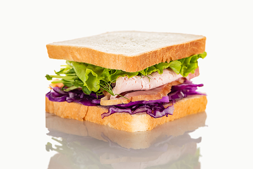 fresh sandwich with red cabbage, lettuce and meat on white surface