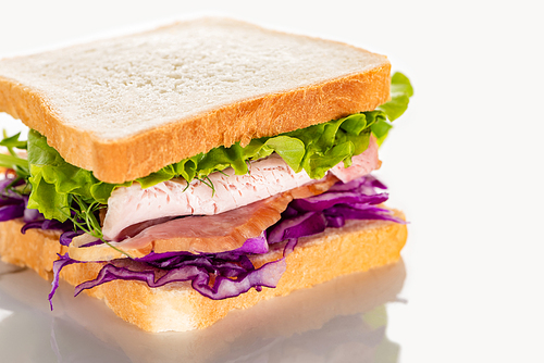 fresh sandwich with red cabbage, lettuce and meat on white surface