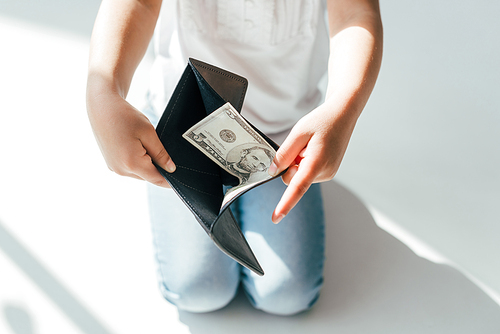 cropped view of kid holding wallet with dollar banknotes on white alimony concept
