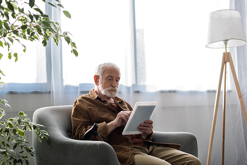 concentrated senior man using digital tablet while sitting in armchair