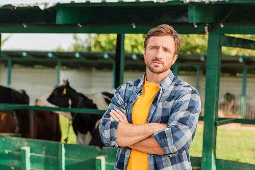 rancher in plaid shirt standing with crossed arms near cowshed on farm