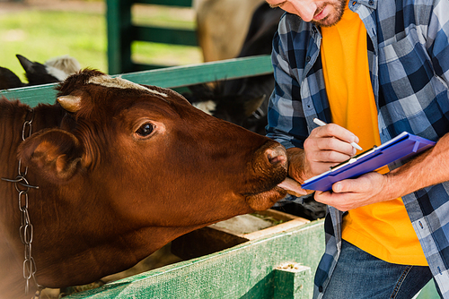 cropped view of farmer writing on clipboard while brown cow licking his hand