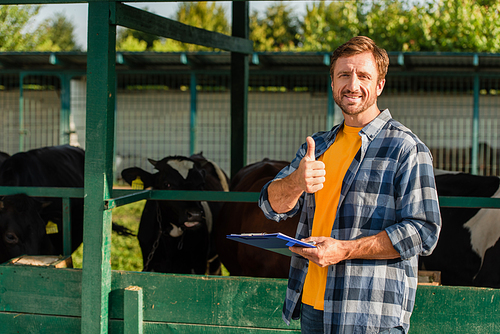 farmer in plaid shirt showing thumb up while standing near cowshed with clipboard
