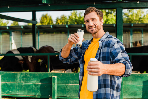 selective focus of farmer in plaid shirt holding glass and bottle of fresh milk near cowshed