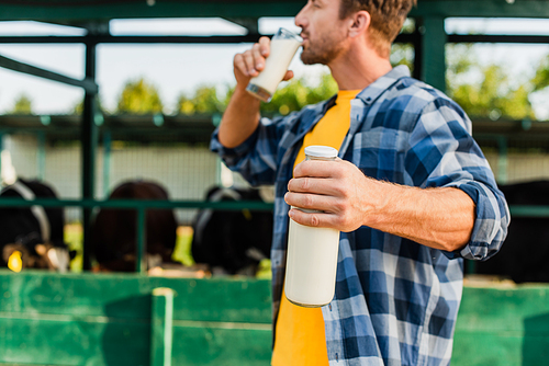 selective focus of farmer in plaid shirt holding bottle while drinking fresh milk