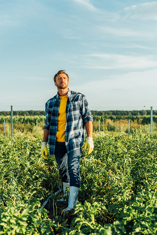 farmer in rubber boots, work gloves and plaid shirt standing in field and looking away