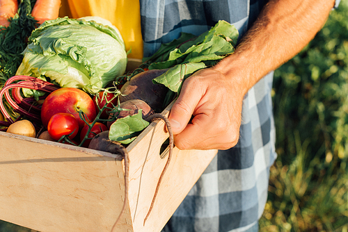 cropped view of farmer holding wooden box with fresh vegetables