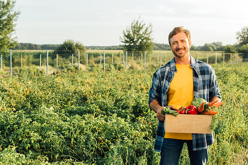 rancher in plaid shirt holding box with fresh vegetables while standing on plantation
