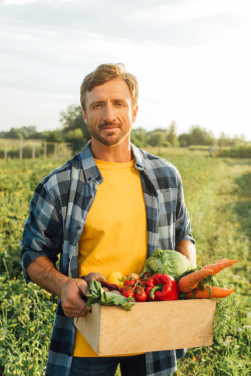 farmer in plaid shirt  while holding box with fresh, ripe vegetables