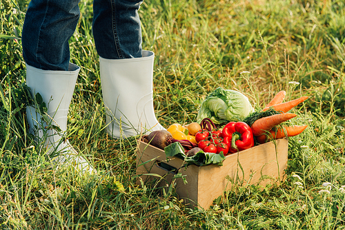 partial view of farmer in rubber boots standing near box with fresh vegetables