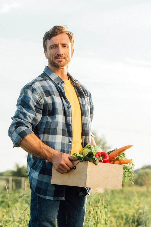 farmer in plaid shirt  while holding box with ripe vegetables