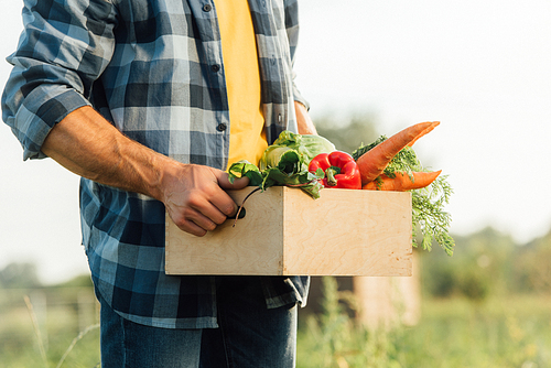 partial view of farmer in plaid shirt holding box with ripe vegetables