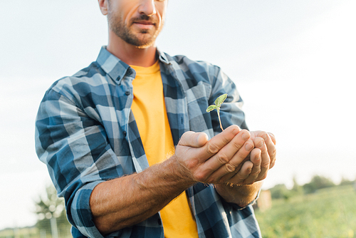 cropped view of farmer in plaid shirt holding green seedling in cupped hands against clear sky