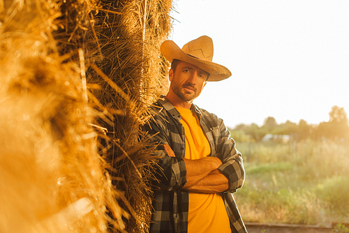 selective focus of farmer in plaid shirt leaning on hay stack with crossed arms while 