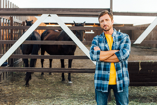 farmer in checkered shirt  while standing with crossed arms near corral with horses