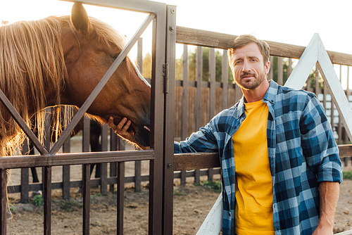 farmer in plaid shirt  while touching head of brown horse in corral
