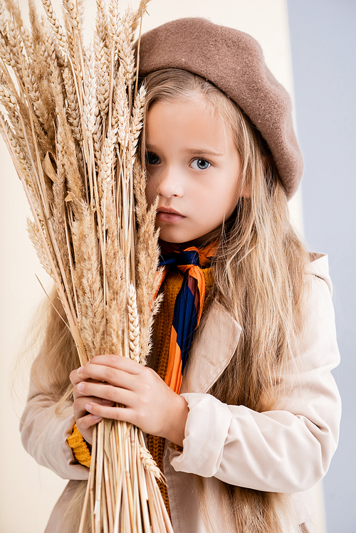 fashionable blonde girl in autumn outfit with wheat spikes
