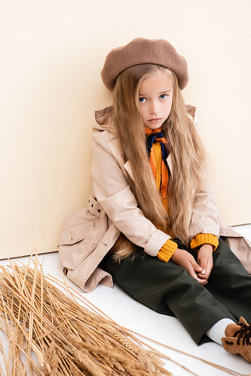 fashionable blonde girl in autumn outfit sitting on floor near wheat spikes on beige and white background