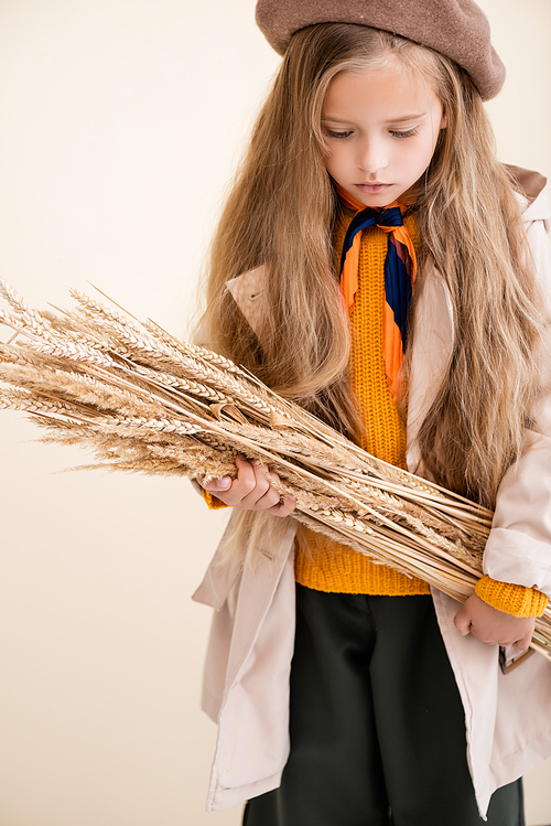 fashionable blonde girl in autumn outfit with wheat spikes isolated on beige